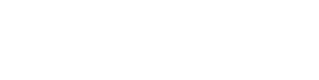 Synethis Groupe Automobile
