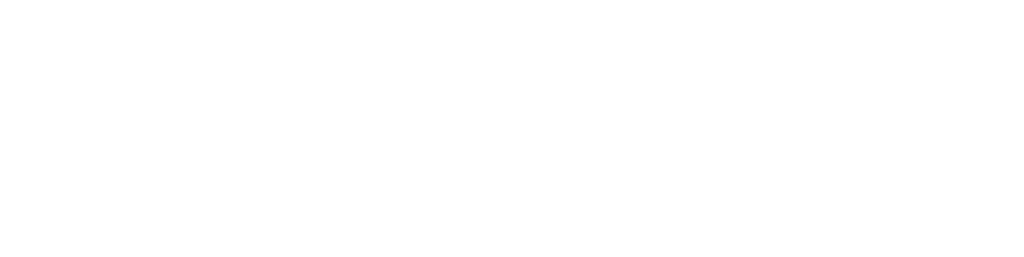 Synethis groupe automobile